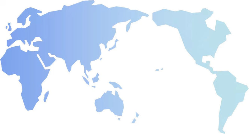 Global Project Experience